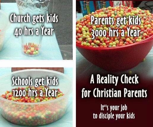 13062501_1247979555219923_7729852404911078840_n